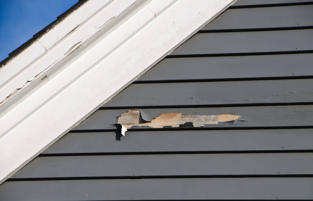 Best Construction Debris Removal  in Ellettsville, IN